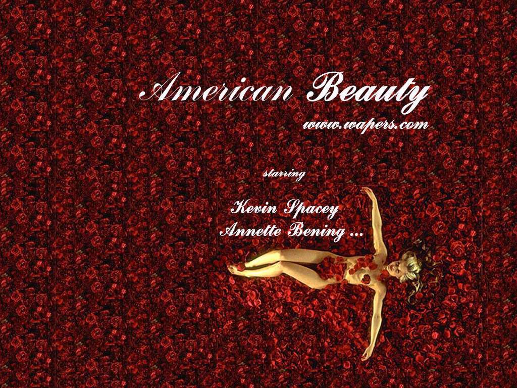 wallpapers_cinema_american_beauty_american_beauty-0002.jpg